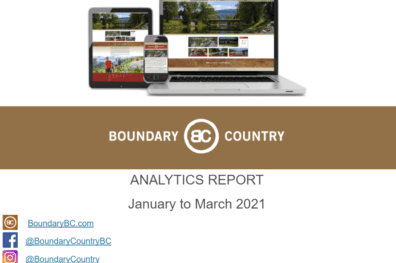 ANALYTICS – WEB AND SOCIAL – March- YTD 2021