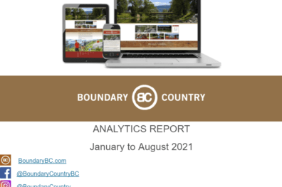 ANALYTICS – WEB AND SOCIAL – August – YTD 2021